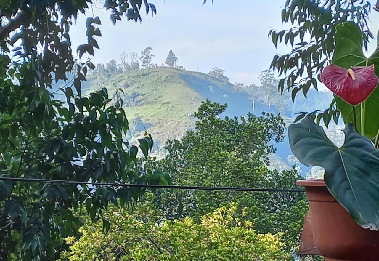 Lazy Bear Lodge Ella Εξωτερικό φωτογραφία