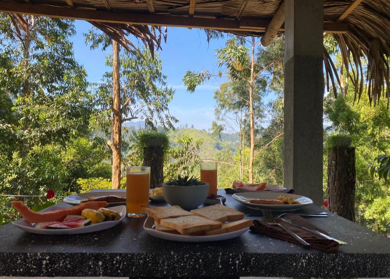 Lazy Bear Lodge Ella Εξωτερικό φωτογραφία