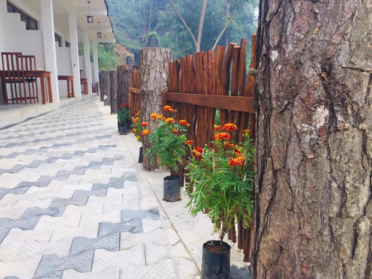 Lazy Bear Lodge Ella Εξωτερικό φωτογραφία